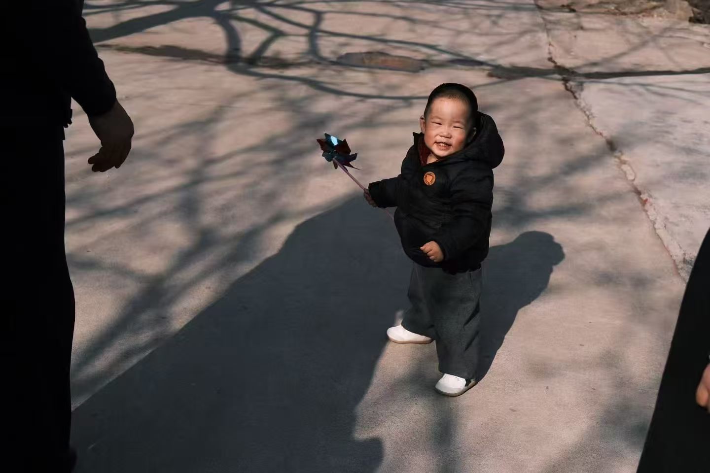 芽芽成长2